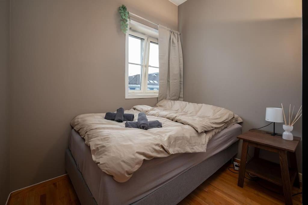 Studio Apt In City Centre Trondheim Exterior photo